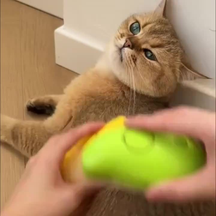 Self-Cleaning Cat Grooming Brush